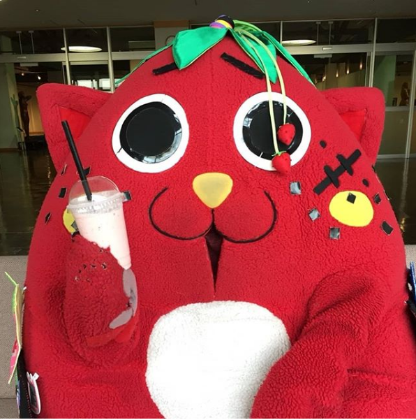 sobrecalificado, empleo